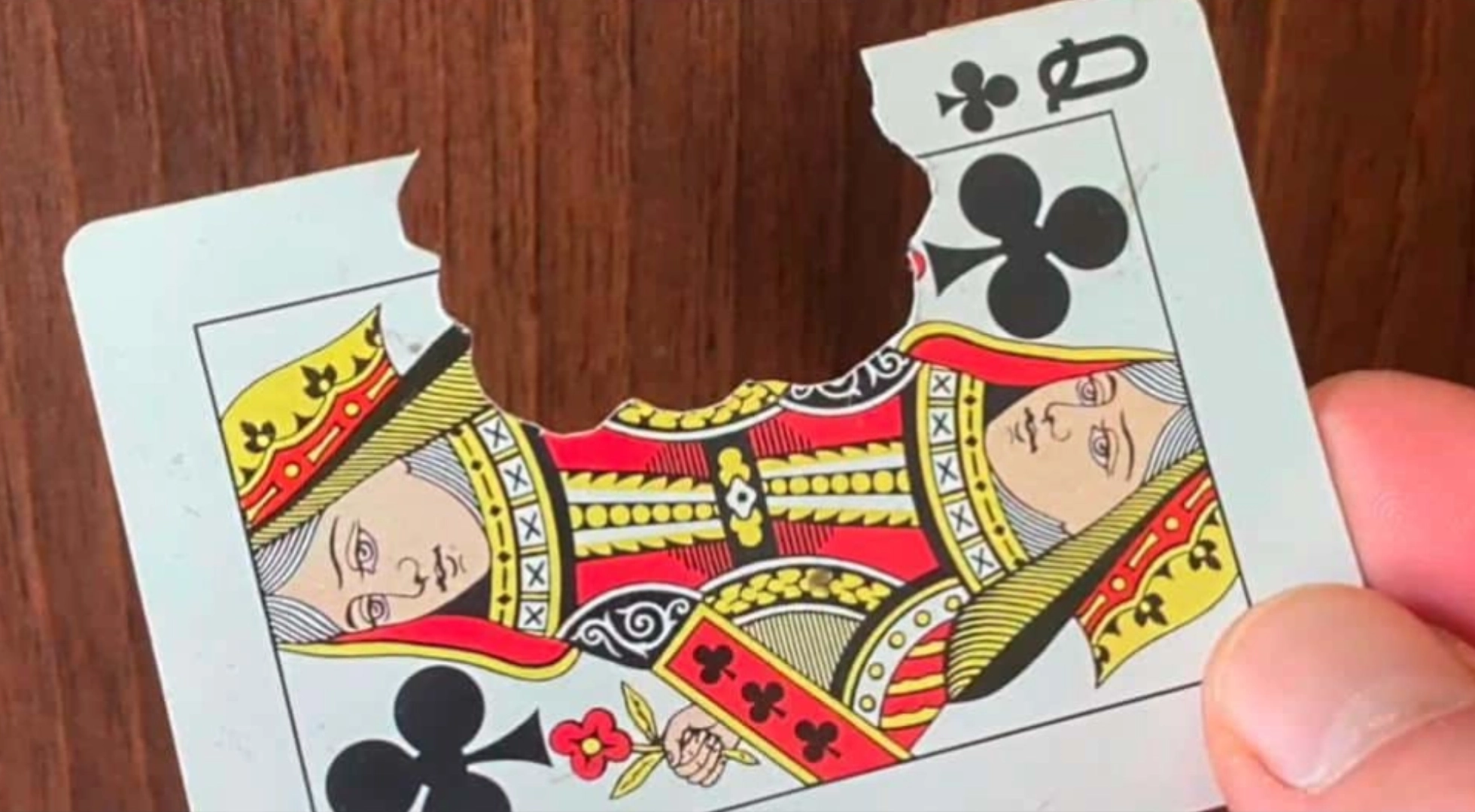 Fundamente 1.4 – Die Beisskarte